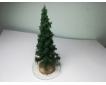 Drzewko świerk 3 ok 8-10cm - 1 szt